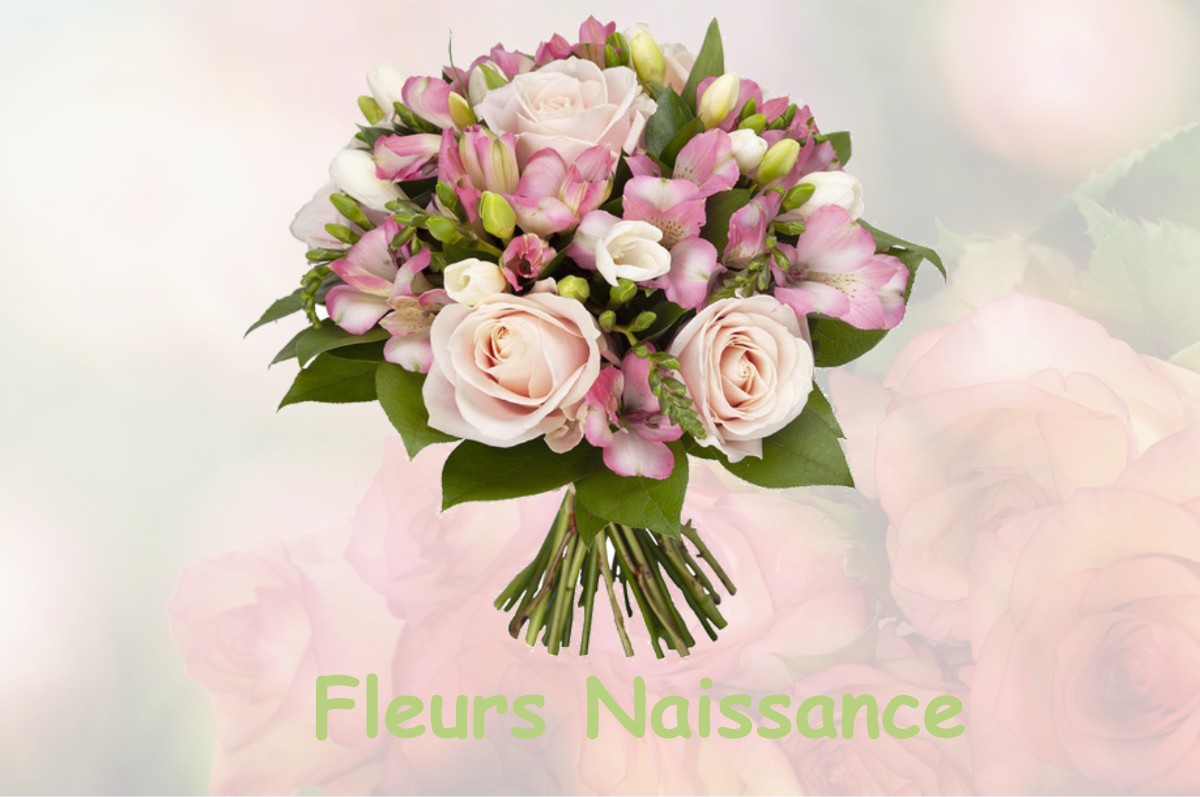 fleurs naissance AUBERIVES-EN-ROYANS