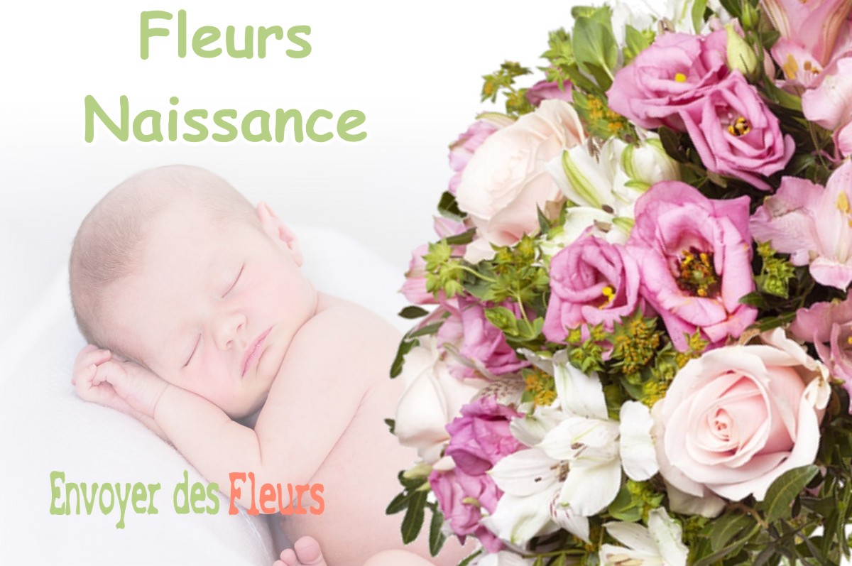 lIVRAISON FLEURS NAISSANCE à AUBERIVES-EN-ROYANS